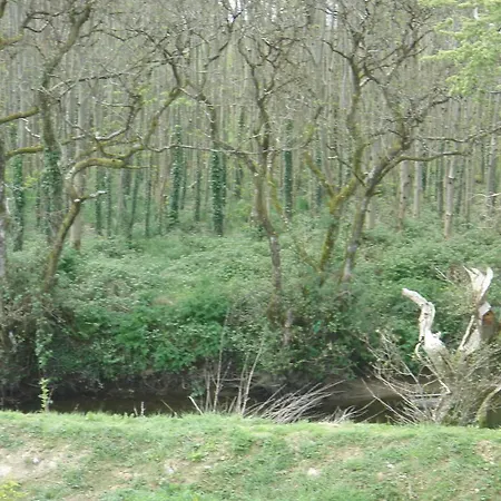 Woodlands House Farranfore